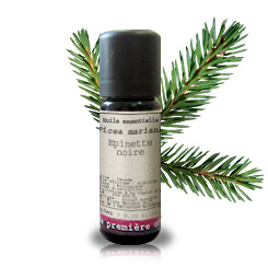 A. E. Abeto negro americano BIO (Picea mariana)(Hevea)