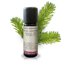 A. E. Abeto de Siberia (Abies sibirica) (Hevea)