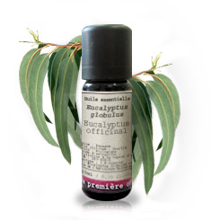 Eucalipto BIO