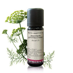Eneldo BIO
