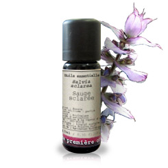 Salvia esclarea BIO