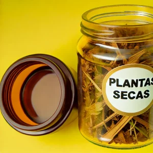 Plantas en bruto