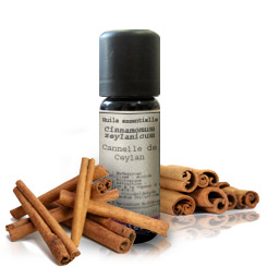 Canela BIO