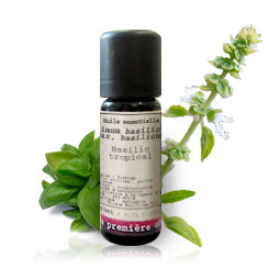 Albahaca exótica BIO