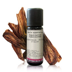 Agarwood (Aquilaria agallocha)