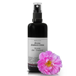 Rosa de Damas BIO