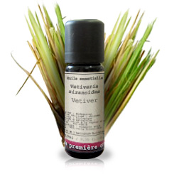 Vetiver