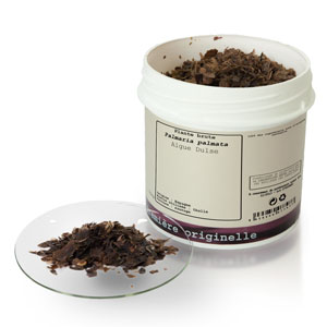 Alga Dulse