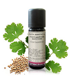 Cilantro BIO