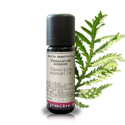 Tanaceto BIO