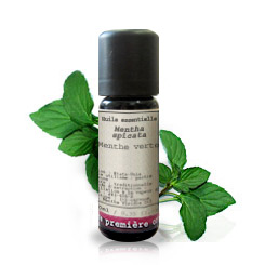 Menta Verde BIO