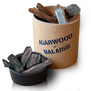 Agarwood