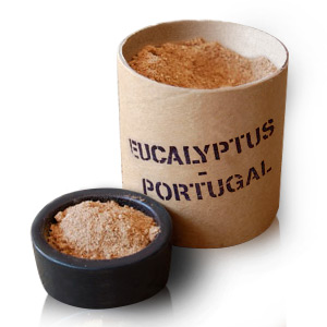 Eucalipto