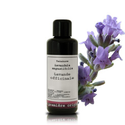 Lavanda fresca BIO